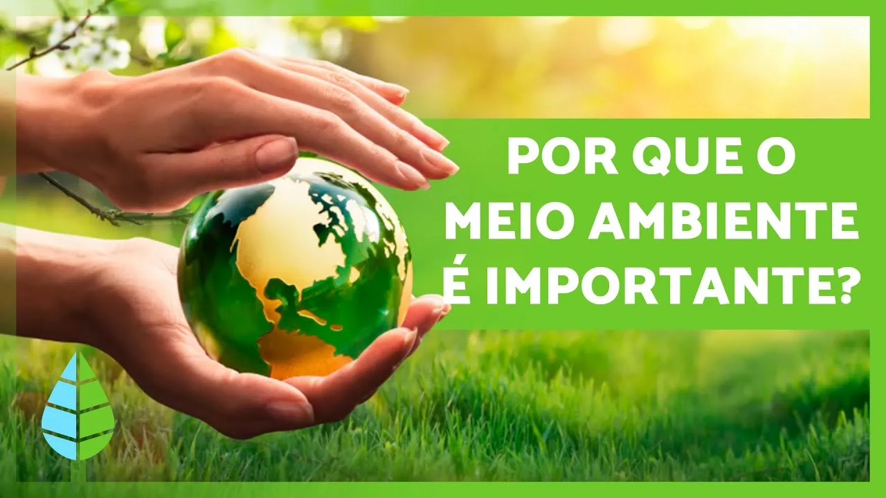 ¿Cuál es la importancia de la ecología en nuestro entorno?