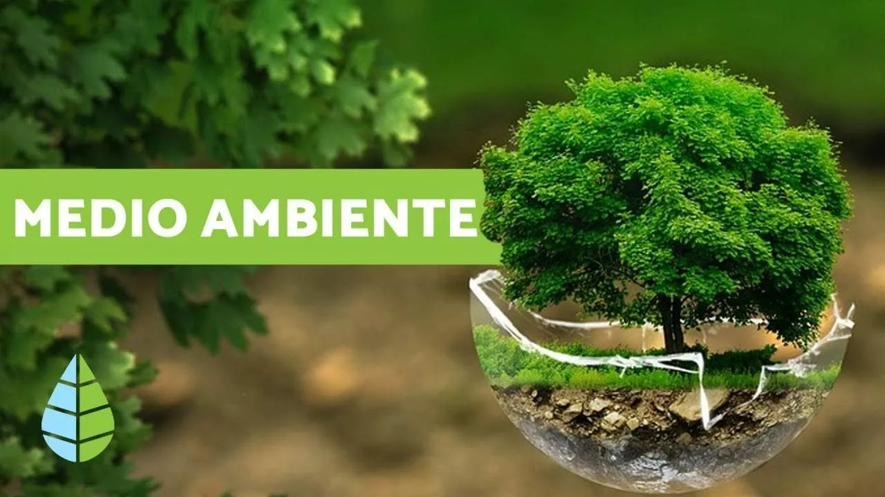 ¿Cuáles son 10 recursos naturales?